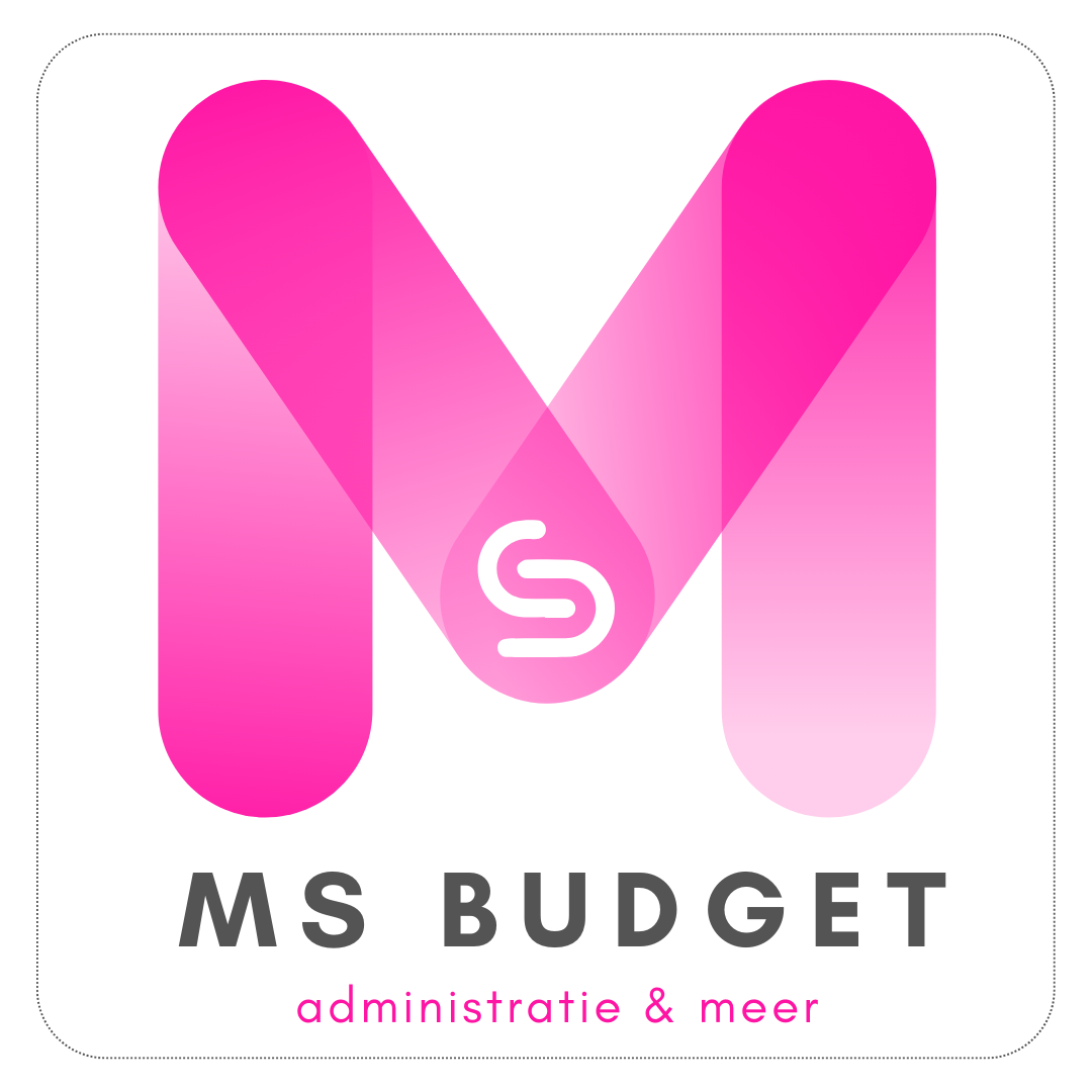 MS Budget