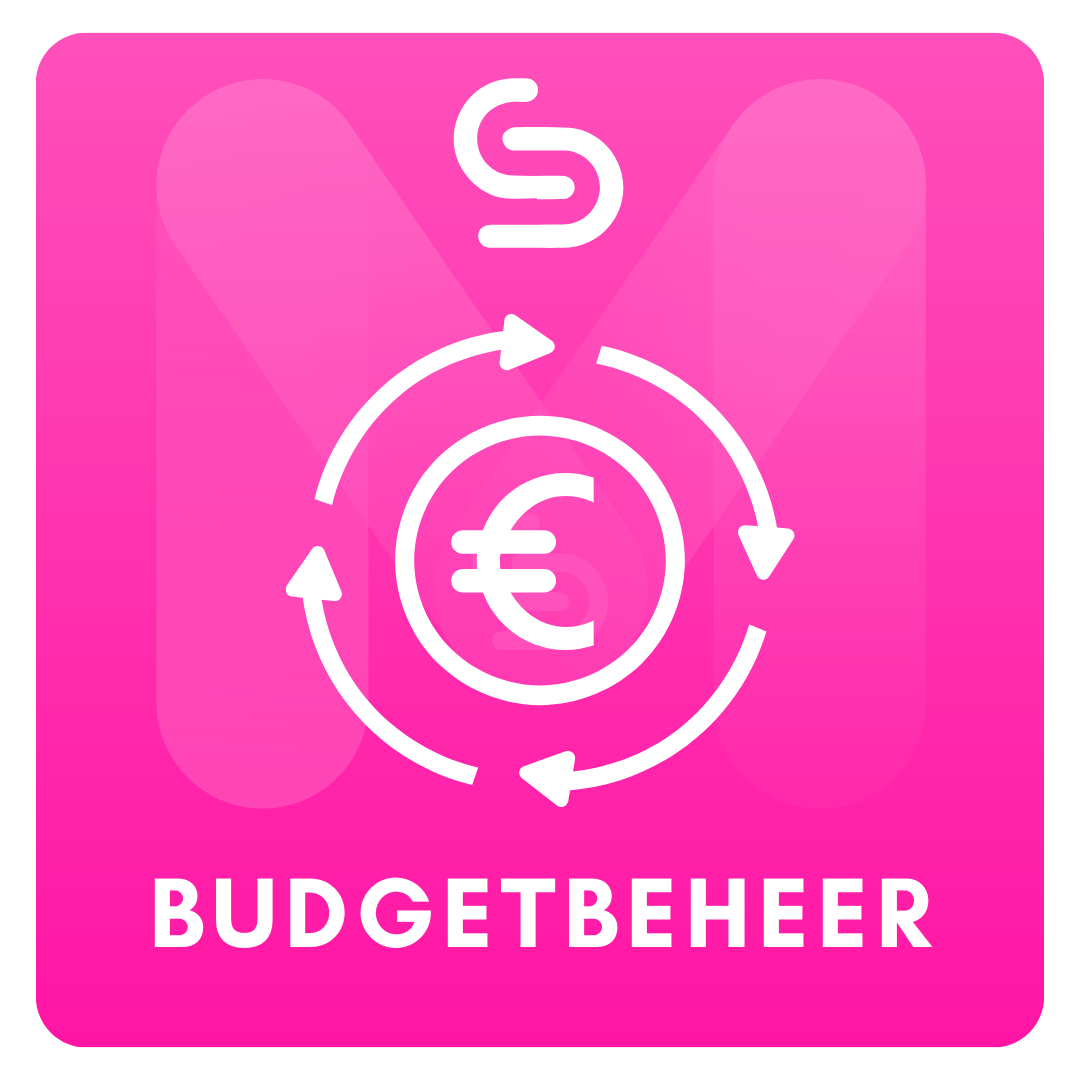 MS Budget Beheer